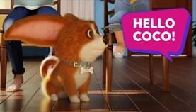 Coco gets the best treats