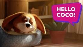 Coco & the sneaky sun