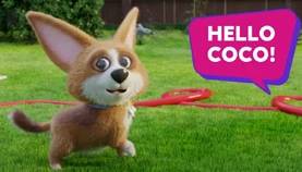 Coco & the winning catch