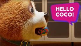 Double the Fun with Coco