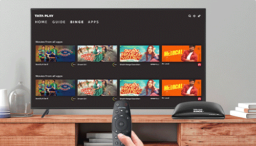 Tata Play Voice Assistant